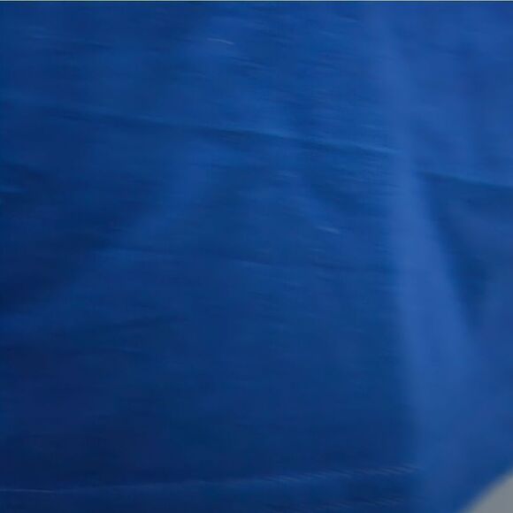 Vans Off The Wall, Mens T-Shirt in Royal Blue. NWT, Size Large - Picture 3 of 6